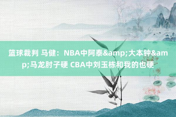 篮球裁判 马健：NBA中阿泰&大本钟&马龙肘子硬 CBA中刘玉栋和我的也硬