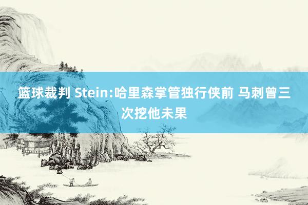 篮球裁判 Stein:哈里森掌管独行侠前 马刺曾三次挖他未果