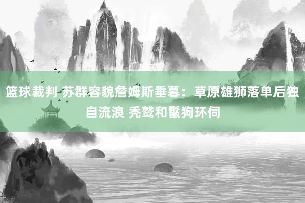 篮球裁判 苏群容貌詹姆斯垂暮：草原雄狮落单后独自流浪 秃鹫和鬣狗环伺