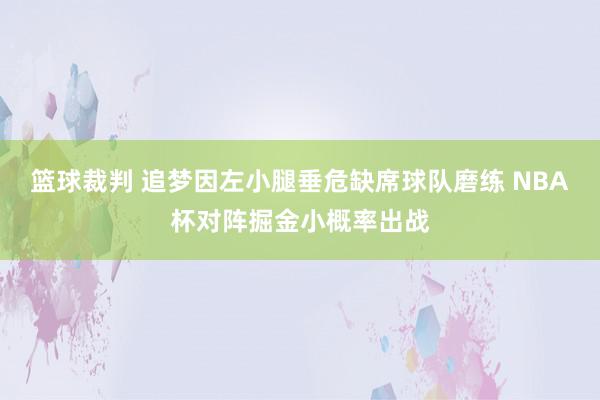 篮球裁判 追梦因左小腿垂危缺席球队磨练 NBA杯对阵掘金小概率出战